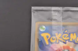 Pokemon Card Pikachu YU NAGABA 208/S-P Promo Holo Japanese J070 - Image 4