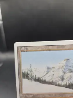 1994 Revised Taiga ~ Vintage MTG/Magic ~ LP++ Condition - Image 3