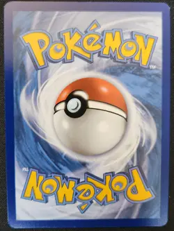 Sizzlipede SV018/SV122 Shining Fates Shiny Vault Holo Rare Pokemon TCG 2021 NM - Image 2