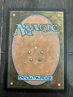 Hedge Maze 0262 - Image 2