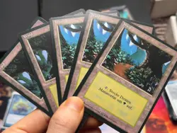 5x German Fbb Forest • 4 NM / 1 LP • Basic Land • Mtg (2193) - Image 1
