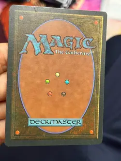 5x German Fbb Forest • 4 NM / 1 LP • Basic Land • Mtg (2193) - Image 3