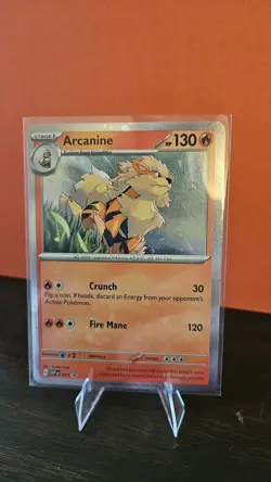 Pokemon TCG | Cosmos Holo Arcanine SVP 11 | Black Star Promo | Scarlet & Violet - Image 1