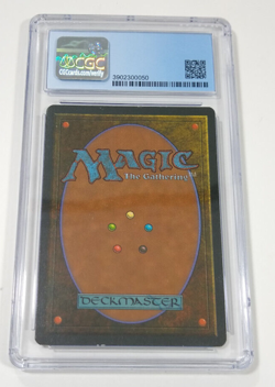Koskun Falls Homelands CGC 8 Graded MTG Magic The Gathering 1995 NM/Mint Vintage - Image 4