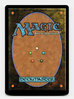 Web-Warriors (Borderless) - [Marvel's Spider-Man] MTG Magic NM/M 🌳⚪ - Image 2