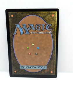 Bloomburrow - Pollywog Prodigy - Creature - Regular - Blue - BLC 015 - - Image 2