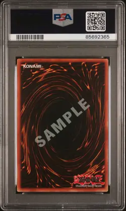 YuGiOh SAMPLE Beaver Warrior Graded PSA 8 N MINT 1st Edition SDY-005 JUDGE PROMO - Image 1