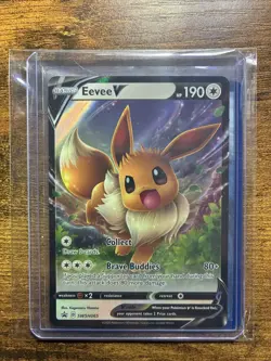 Eevee Evolution Pokemon Card Gift Set - Includes Eevee & Sylveon Ready-to-Gift - Image 4
