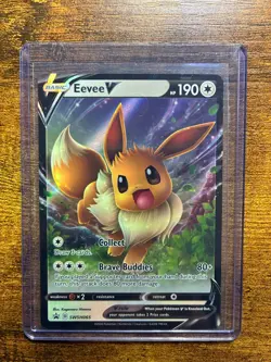 Eevee Evolution Pokemon Card Gift Set - Includes Eevee & Glaceon Ready-to-Gift - Image 2