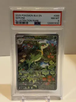 Servine 088/086 Pokemon TCG Black Bolt Illustration Rare Card PSA 8 - Image 1