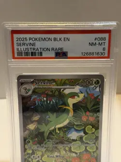 Servine 088/086 Pokemon TCG Black Bolt Illustration Rare Card PSA 8 - Image 2