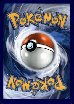 Boltund V - JUMBO CARD Black Star Promo SWSH219 - MINT - Pokemon - Image 2