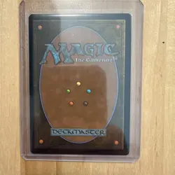 MTG Spider-Punk (0210) Borderless Marvel's Spider-Man (Non-Foil) - Image 2