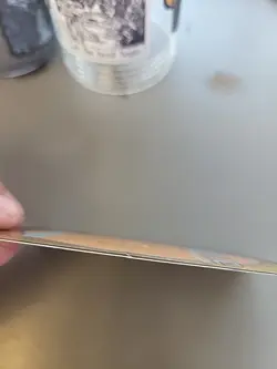 MTG Hand Painted Alter - Sinners Falkenrath Aristocrat - Blossom Alters - Image 3