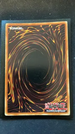 Yugioh Salamandra - DDS-006 - Secret Rare LP/MP - Image 2