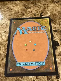 ABSORB Magic the Gathering MTG Dominaria United Borderless - Image 2