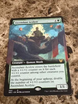 ASCENDANT ACOLYTE Magic the Gathering MTG Kamigawa Neon Dynasty Extended Art - Image 1