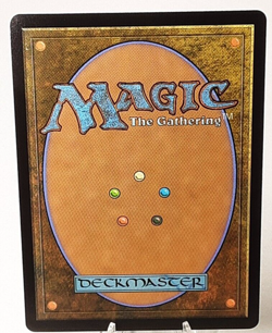 MTG - Bloomburrow - Pond Prophet - #0229 - Near Mint - Image 3