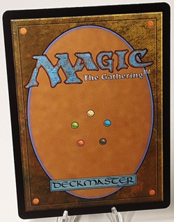 MTG - Bloomburrow - Oakhollow Village - #0258 - Near Mint - Image 3