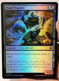 MTG - Bloomburrow - Pond Project - Foil - #0229 - Playset x4 - Near Mint - Image 1
