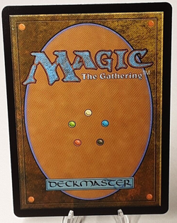 MTG - Bloomburrow - Repel Calamity - #0027 - Near Mint - Image 3