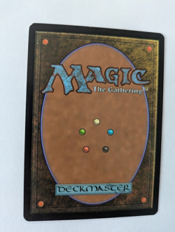 French Liliana of the Veil Innistrad MTG NM Free Shipping w tracking - Image 2