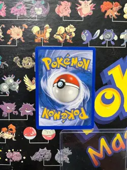 Pokemon Eevee 63/100 Sandstorm Regular Pokemon Common Nintendo Card NM E-Reader - Image 2