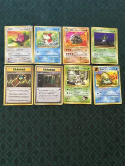 Pokemon Japanese Card Lot 100+ Vintage and Modern Cards - Commons, Holos - Image 3