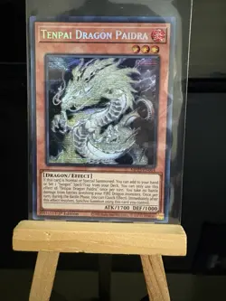 Yugioh Tenpai Dragon Paidra MP25-EN064 1st Edition Prismatic Secret Rare NM - Image 1
