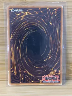 Dark Paladin DMG-001 Limited Edition Secret Rare Yugioh Card - Image 2