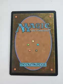 MTG Spider-Punk (0210) (Borderless) Marvel's Spider-Man Magic NM - Image 2