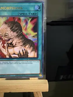 Yugioh - MP25-EN299 - Metamorphosis - Ultra Rare - NM/M 1st Edition -2025 - Image 3