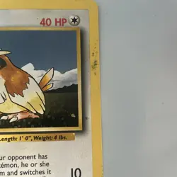 PIDGEY 57/102 Pokemon Base Set Card Unlimited 1999 D13 - Image 2