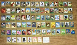 Bella Sara cards - Series 2 Gold - Partial Set 81 Card Lot - Image 1