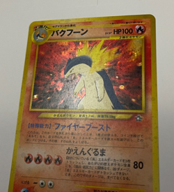 Typhlosion Quilava Cyndaquil "No Rarity" Mark Holo Japanese Neo Genesis Card Lot - Image 3