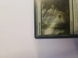 MTG Asceticism - Regular - Scars of Mirrodin NM - Image 2