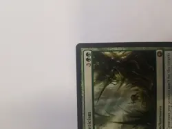 MTG Asceticism - Regular - Scars of Mirrodin NM - Image 3