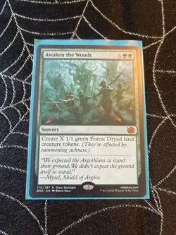Awaken the Woods The Brothers' War Regular - Image 1