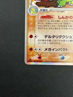 Meganium Delta EX Dragon Frontiers 045/068 Holo pokemon card japanese Rare 1ED - Image 3