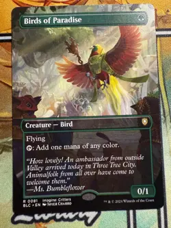 Birds of Paradise (Borderless): Bloomburrow: Commander, (Non-Foil), #81 - Image 1