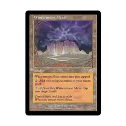 WOTC MtG Prophecy Wintermoon Mesa (R) (Foil) EX - Image 1