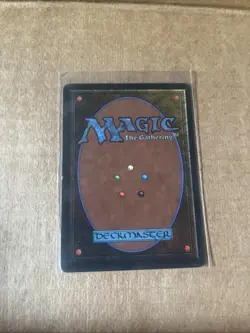 Savannah Lions Revised Edition Regular - Image 2