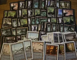 Lot of 250+ Vintage Magic the Gathering Basic Lands Cards Retro Old Frame MTG - Image 5