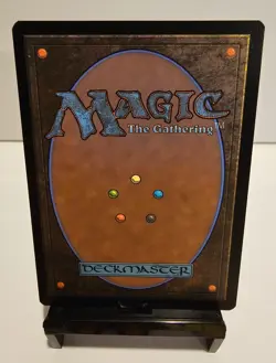 Multiversal Passage (Borderless Non Foil) 206 (R) MTG Marvel's Spider-Man (SPM) - Image 4