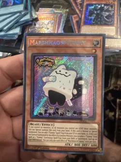 Yugioh! Marshmao☆Yummy DOOD-EN024 Secret Rare 1st Edition NM - Image 1