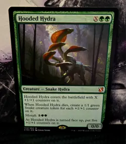 magic the gathering - Hooded Hydra - Creature - Snake Hydra - Mythic - Green - Image 1