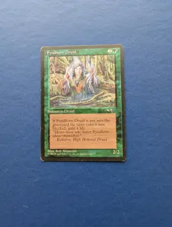 MTG Fyndhorn Druid: Alliances - EX - Image 1