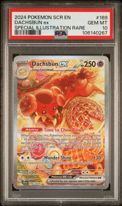2024 POKEMON SCR EN-STELLAR CROWN SPECIAL ILLUSTRATION RARE DACHSBUN EX PSA 10 - Image 1