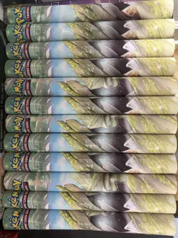 12x Pokemon Go TCG Radiant Eevee Play mat, collectable, rare, Shiny Pokemon Lot - Image 3