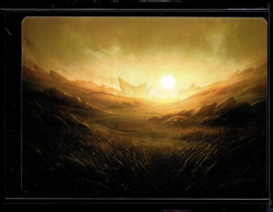 Plains - 31 - Art Card - TDM - NM - MTG Magic the Gathering - Image 1